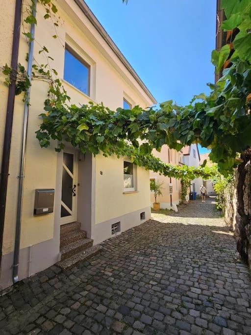 Casa Ciconia - Ueber Den Daechern Der Altstadt Freinsheim Exterior photo